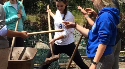 volunteers in the garden