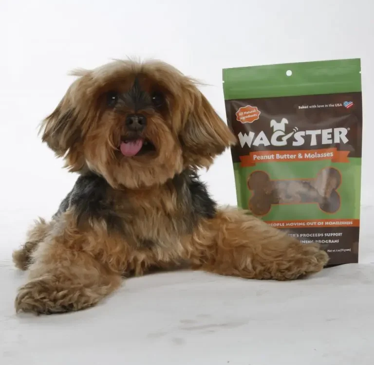 A little brown dog with its tongue out, laying next to a bag of Wagster treats