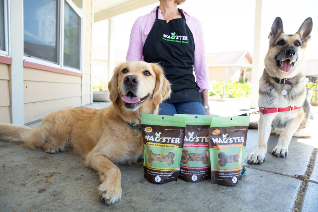 a woman wearing a Wagster Dog Treats apron sits behind a golden retriever dog with 3 bags of treats.