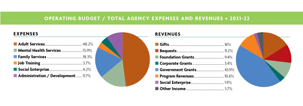 Pie charts showing expenses and revenues for 2021-2022
