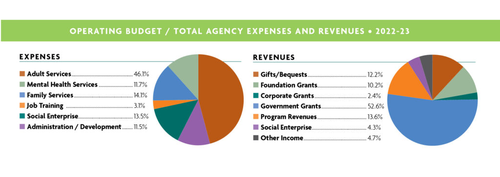 Pie charts showing expenses and revenue for 2022-2023