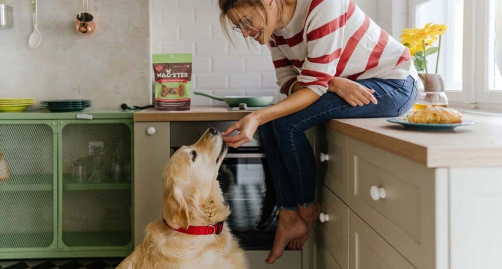 Woman sitting on kitchen counter leans down to give dog a treat.
